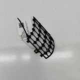 Gitter MERCEDES-BENZ AMG GT (C190) GT (190.377) A1908850023