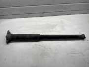 Stoßdämpfer hinten rechts