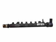 Einspritzleiste VW Passat B7 Alltrack (36, B7) 03L130089