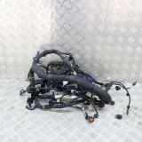 Motor Kabelbaum LAND ROVER RANGE ROVER SPORT II (L494) 3.0 D 4x4 FPLA-9H589-CF