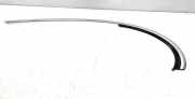 Türverkleidung links hinten Jaguar S-Type (X200)