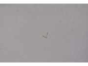 Sonnenblende links Opel Meriva A () 24409340