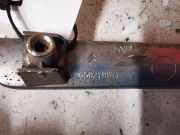 Blende Stoßstange links Citroen C5 II (RC) 9650279077
