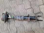 Stoßdämpfer links hinten Subaru Tribeca (B9) 20371XA00A