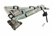 Airbag Dach links Nissan Leaf (ZE0) BAMPT11835