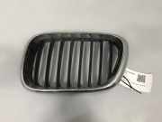 Kühlergrill oben BMW X5 (E53) 8247675