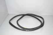 Türdichtungsgummi hinten links BMW 3 Touring (F31) 330 d xDrive 51357377415
