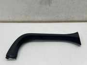 Armaturenbrett Seitenverkleidung TOYOTA C-HR (_X2_, _H2_) PHEV 67938F4050