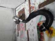 AGR-Kühler CITROËN C4 I (LC_) 1.6 HDi