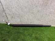 Heckklappe Gasdruckfeder links BMW 3 (G20, G28) 3 (G20) 318 i 7453413