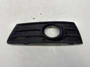 Blende Nebelscheinwerfer VW Passat B6 CC (357) 3C8853665C