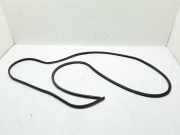 Türdichtung Renault Master III Kasten (FV) 8200678121