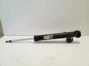 Stoßdämpfer hinten rechts AUDI A5 (F53) S5 quattro 8F0513026