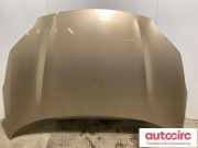 Motorhaube Kia Sportage 4 (QL, QLE) 66400F1000