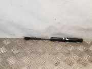 Gasfeder für Motorhaube Audi Q5 (8R) 8R0823359A