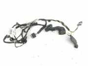 Türverkabelung hinten links PEUGEOT 508 1.6 9675217280