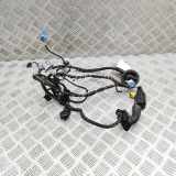 Kabel der vorderen linken Tür AUDI TT (FV3) 2.5 RS quattro 8S0971030G