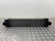 Ladeluftkühler FORD MONDEO V Turnier 2.0 TDCi DG936K775DB
