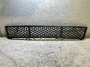 Gitter vorne unten BMW 5 (F10) 530 d xDrive 7200693