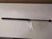 Heckklappe Gasdruckfeder rechts RENAULT ESPACE III (JE0_) 2.2 12V TD (JE0E, JE0H, JE0P) C025300735