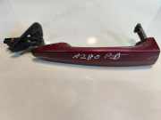 Türaußengriff links BMW X6 (E71, E72) xDrive 35 d 14024260