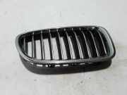Vorderer oberer Gitter BMW 5 Touring (F11) 530 d 7336478