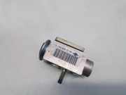 A/C Conditioner Expansion Valve MERCEDES-BENZ S (W220) S 65 AMG (220.179) 2308300184