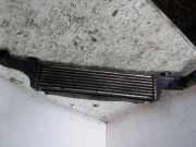 Kraftstoffkühler Mercedes-Benz E-Klasse (W210) PA66GF30