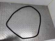 Dichtungsgummi der hinteren Tür (an der Karosserie) AUDI Q5 (8R) 2.0 TDI quattro