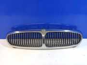 Vorderer oberer Gitter JAGUAR X-TYPE (X400) 2.0 D 8159593
