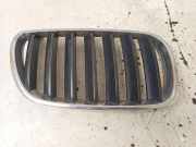 Vorderer oberer Gitter BMW X3 (E83) xDrive 18 d 3420088