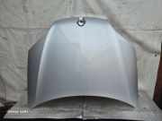Motorhaube RENAULT LAGUNA III (BT0/1) 2.0 dCi (BT01, BT09, BT12, BT1S)