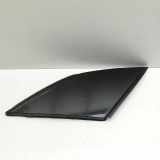 Left Side Body Moulding