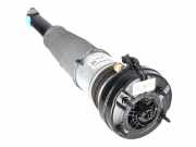 Stoßdämpfer hinten links AUDI A8 D4 (4H_) 3.0 TDI quattro 4H0616001AH