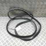 Türgummi links vorne Isuzu D-Max II (TFR, TFS) 8983355822