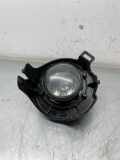 Nebelscheinwerfer links NISSAN PATHFINDER III (R51) 2.5 dCi 4WD 89203681