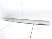 Kennzeichenrahmen RF4F