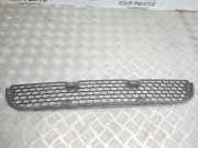 Gitter vorne unten HYUNDAI TRAJET (FO) 2.0 CRDi
