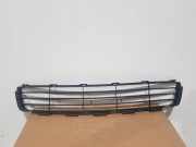 Ziergitter Toyota Yaris (P13) 531120D140C