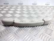 Dachgriff vorne rechts