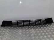 Gitter vorne unten RENAULT VEL SATIS (BJ0_) 3.0 dCi (BJ0J, BJ0N) 42496 2205101