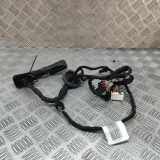 Türverkabelung hinten links AUDI Q4 SUV (F4B) 35 e-tron TAB010403ED