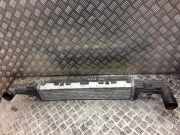 Ladeluftkühler MERCEDES-BENZ E (W210) E 220 CDI (210.006) a2105001300 2105001300