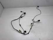 Kabelbaum Vorderen Parksensoren VW PASSAT CC (357) 2.0 TDI 3C8971104C