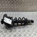 Stoßdämpfer hinten links CHEVROLET CAMARO 3.6 92213101 22737724