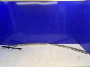 Türverkleidung rechts vorne Jaguar F-Type Coupe (QQ6) FRONTRIGHTMOLDING