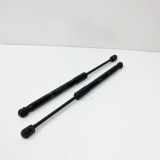 Heckklappe Gasdruckfeder links NISSAN LEAF (ZE0) Electric 904503NF0A 904513NF0A