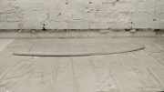 Dachleiste links BMW 6 Cabrio (F12) M6 7979289