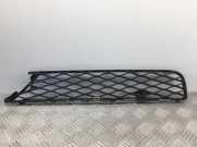 Gitter vorne unten MERCEDES-BENZ R (W251, V251) R 350 4-matic (251.065, 251.165)