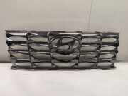 Frontstoßstange Mittelteil HYUNDAI TUCSON (NX4E, NX4A) 1.6 T-GDi Hybrid